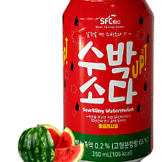 뚱캔)수박소다업